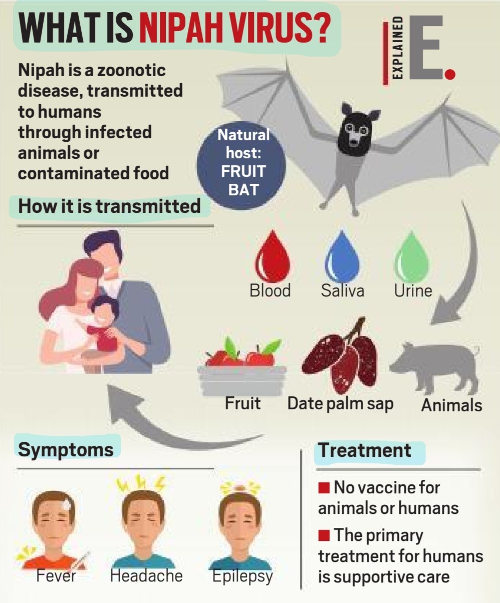 Nipah virus precautions What everyone needs to know Al Bawaba